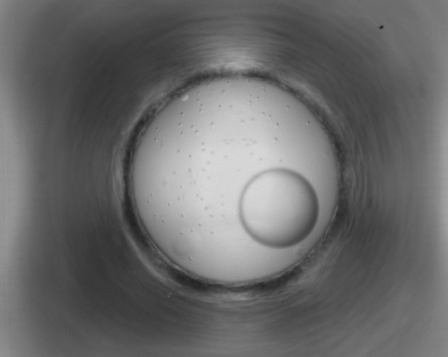 X0000112070638201007221007