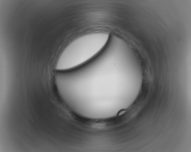 X0000112070653201007221008