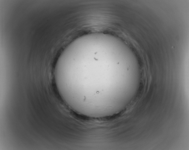 X0000112070655201007221008