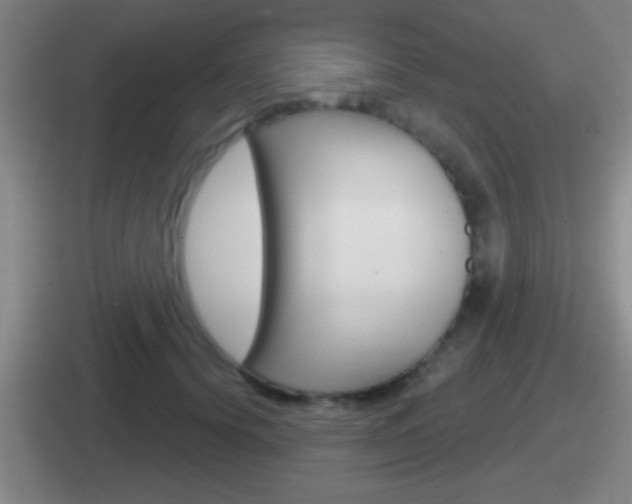 X0000112070656201007221008