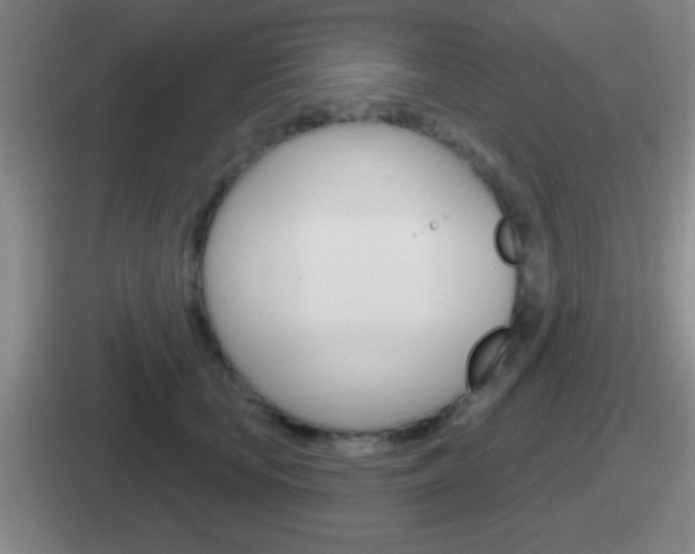 X0000112070659201007221008