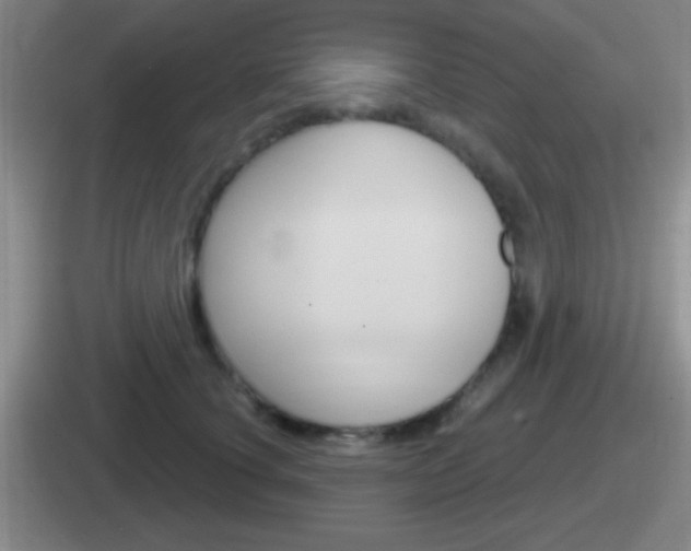 X0000112070660201007221008
