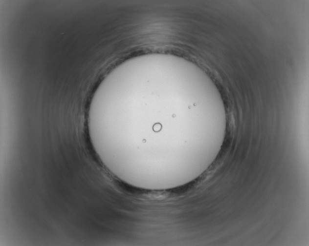 X0000112070668201007221008