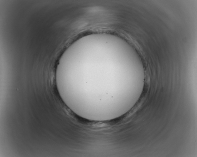 X0000112070669201007221008
