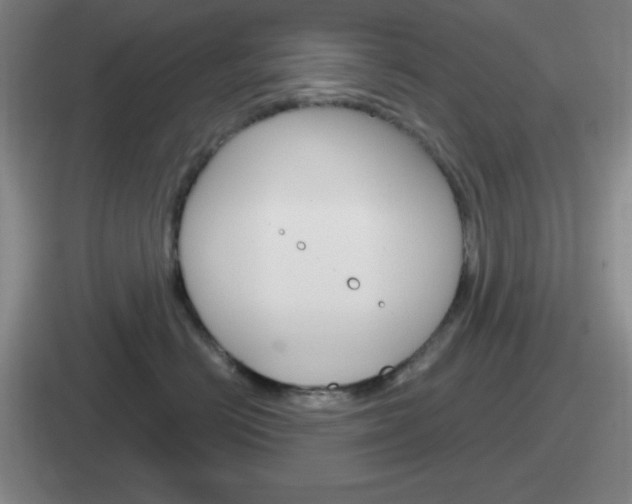 X0000112070670201007221008