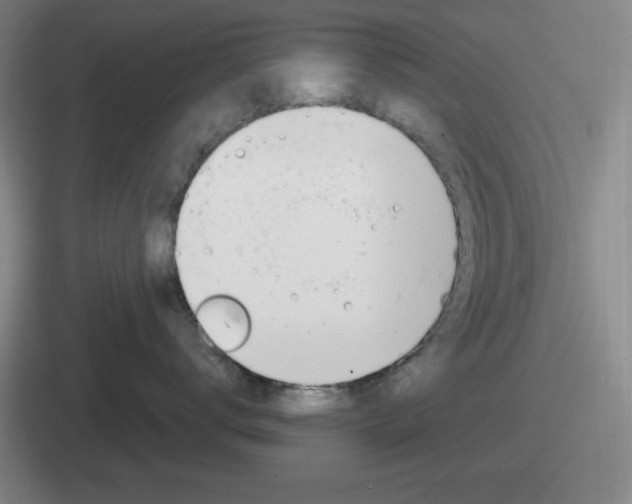 X0000112070672201007221008