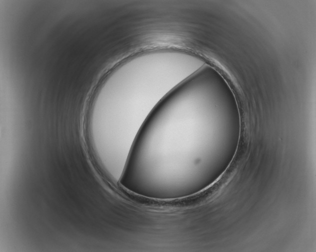 X0000112070677201007221007