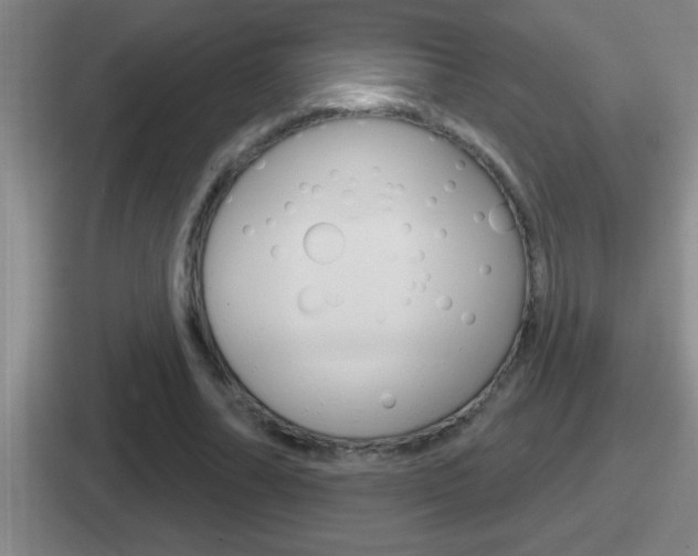 X0000112070682201007221007