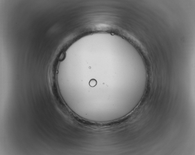 X0000112070683201007221007