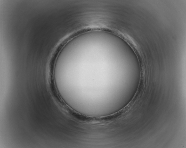 X0000112070684201007221007