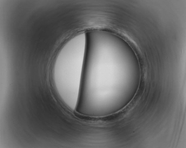 X0000112070685201007221007