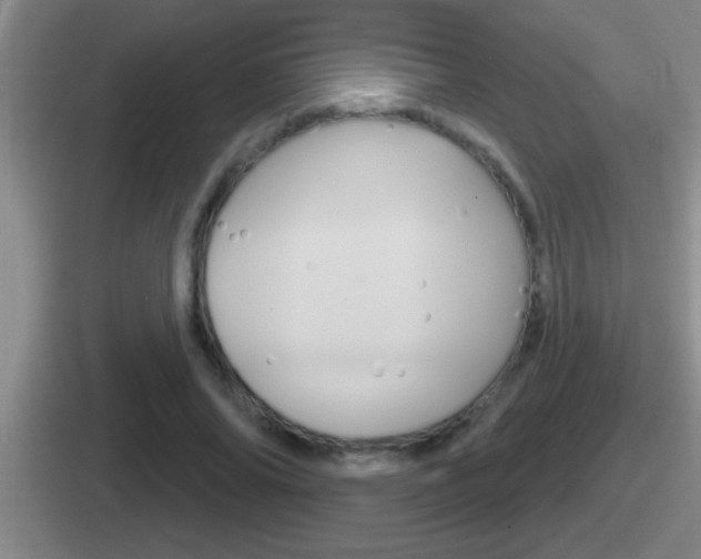 X0000112070686201007221007
