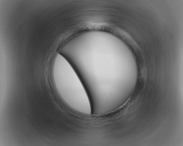 X0000112070687201007221007