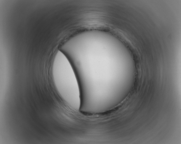 X0000112070695201007221007