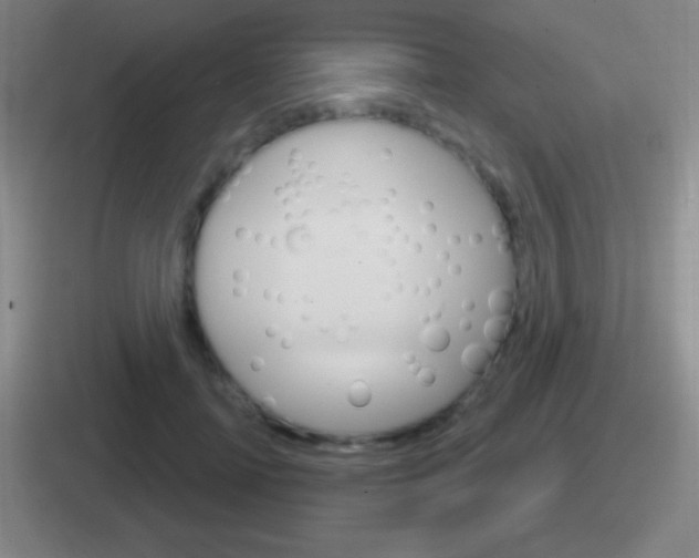 X0000112070698201007221007