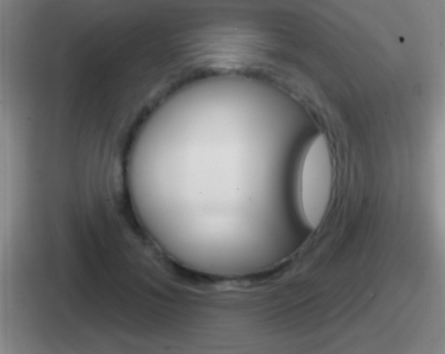 X0000112070700201007221007