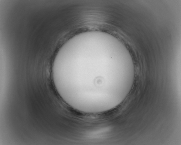 X0000112070702201007221007