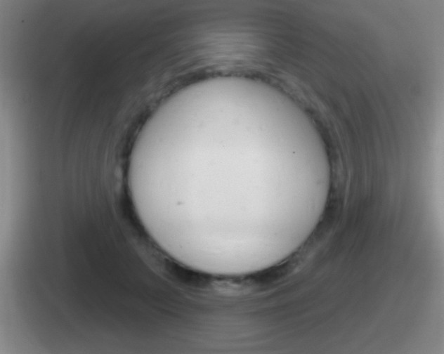 X0000112070703201007221007