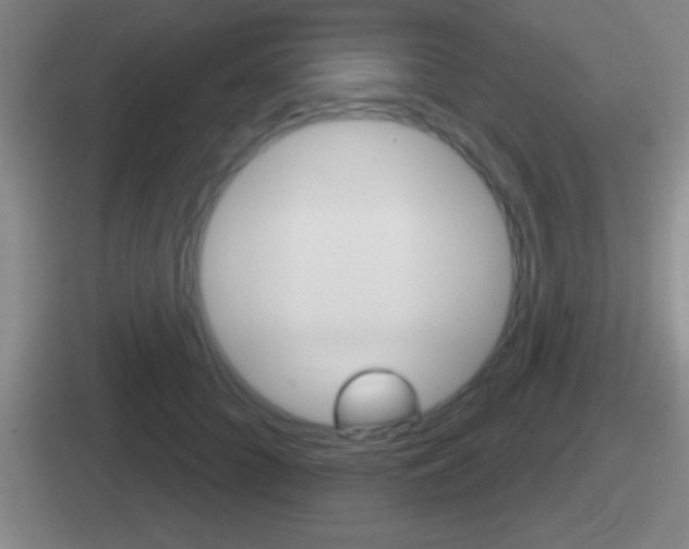 X0000112070704201007221007