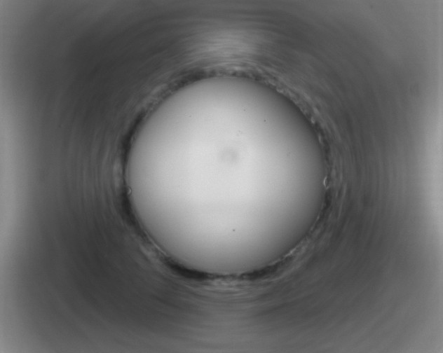 X0000112070708201007221007