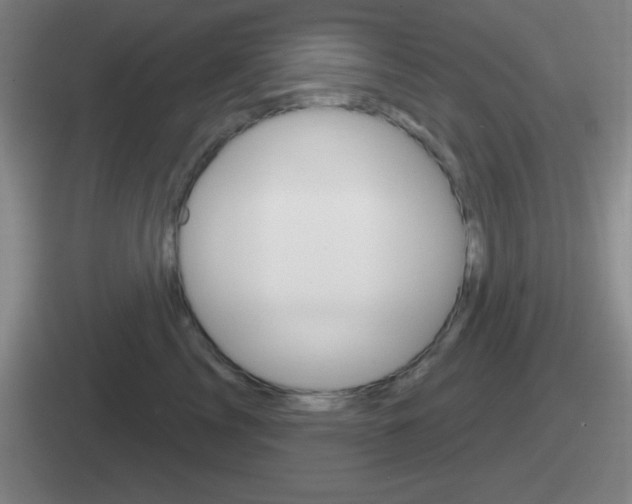 X0000112070713201007221007