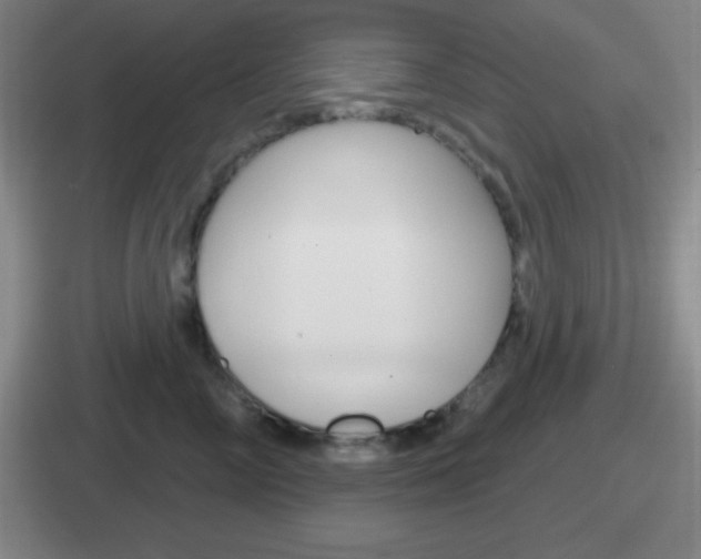 X0000112070714201007221007