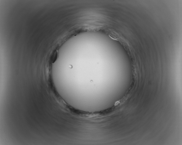 X0000112070716201007221007