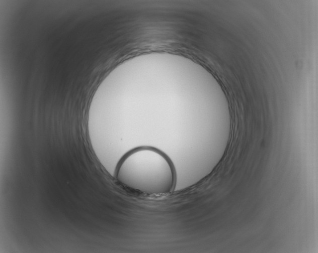 X0000112070720201007221007