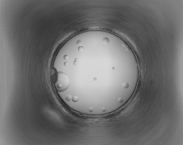 X0000112070721201007221006