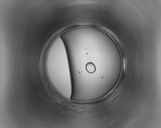 X0000112070723201007221006
