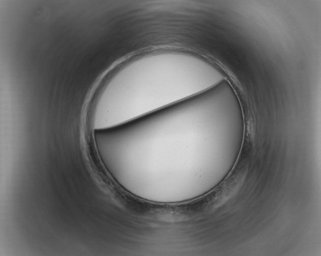 X0000112070724201007221006