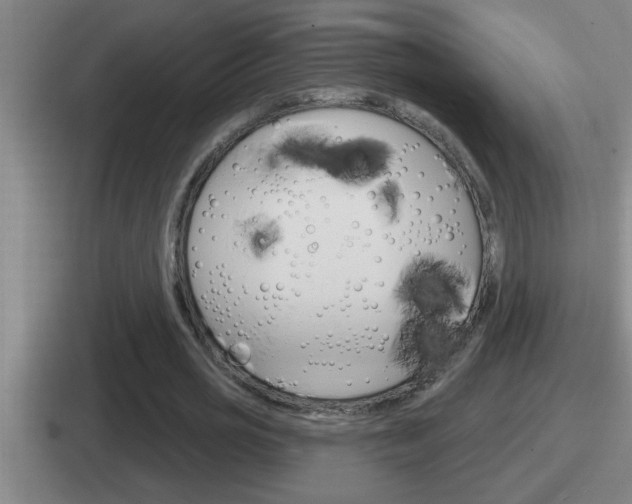 X0000112070725201007221006