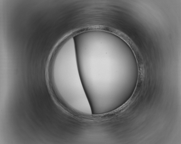 X0000112070726201007221006