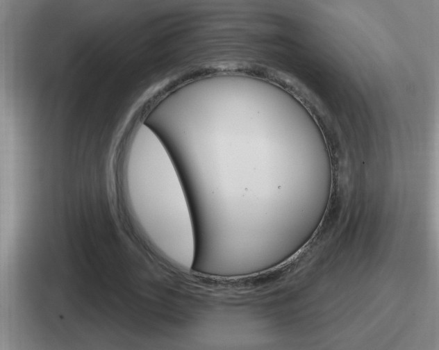 X0000112070727201007221006
