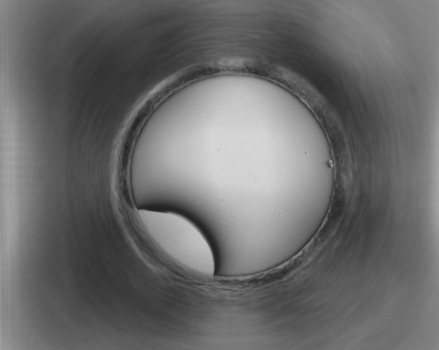 X0000112070728201007221006