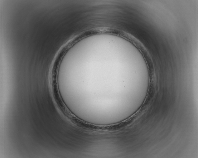 X0000112070730201007221006