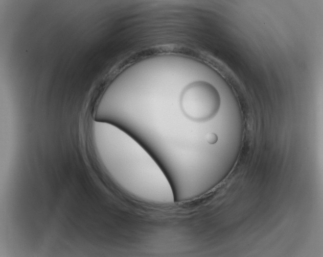 X0000112070734201007221006