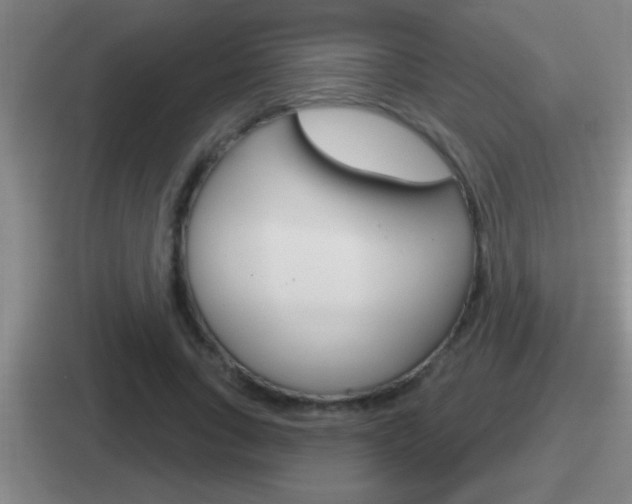 X0000112070735201007221006