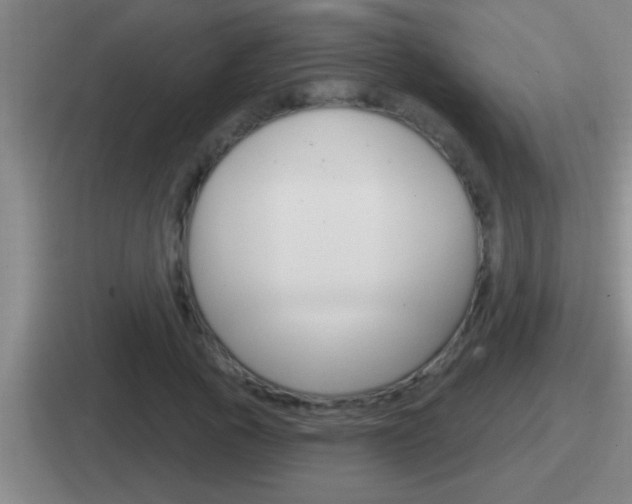 X0000112070737201007221006
