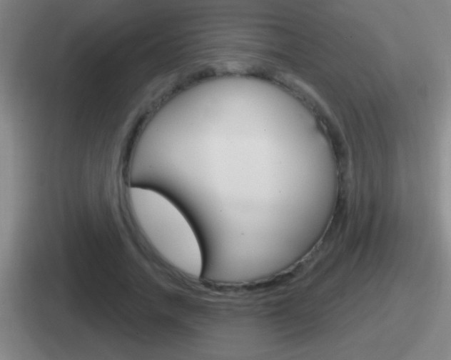 X0000112070738201007221006