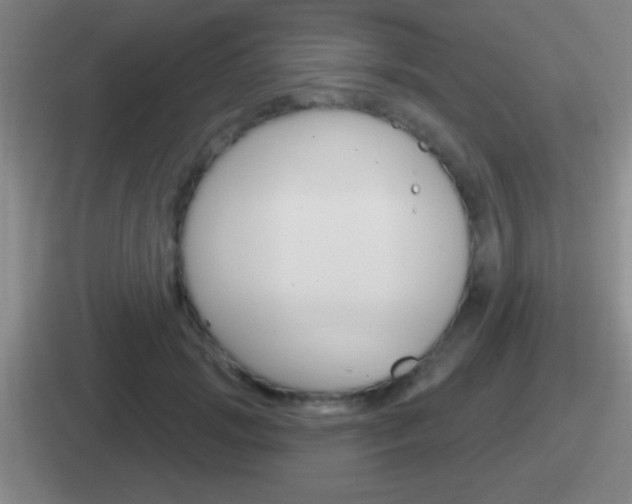 X0000112070749201007221006