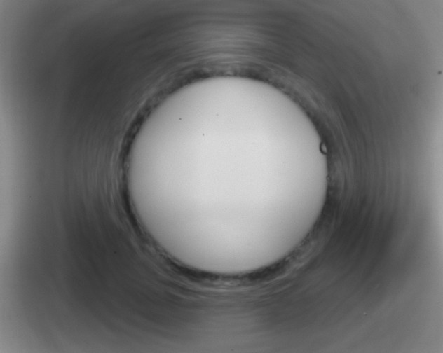 X0000112070751201007221006