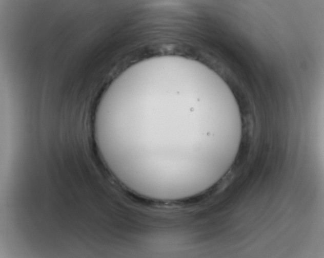 X0000112070754201007221006