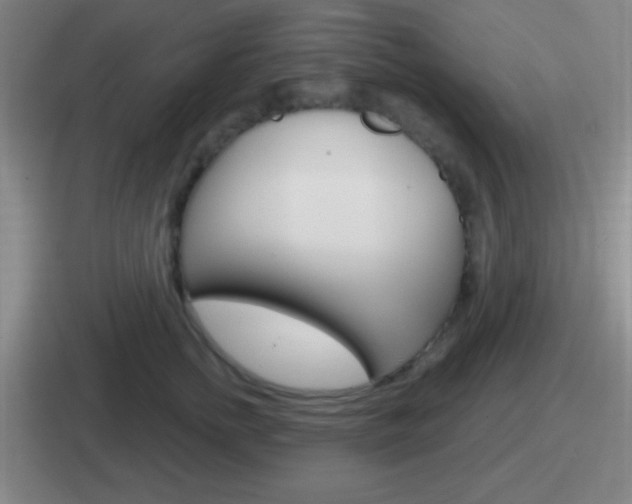 X0000112070758201007221006