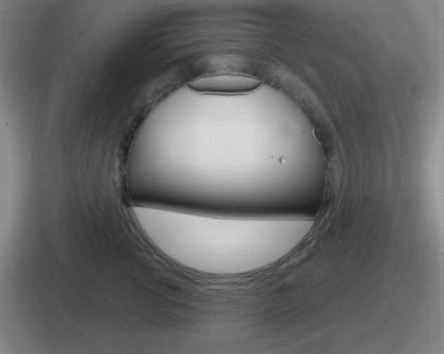 X0000112070762201007221006