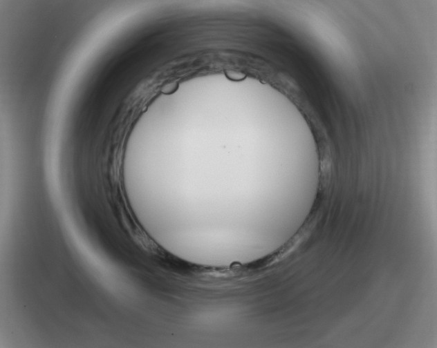 X0000112070765201007221006