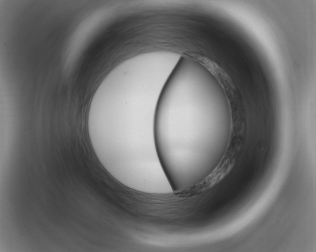 X0000112070766201007221006