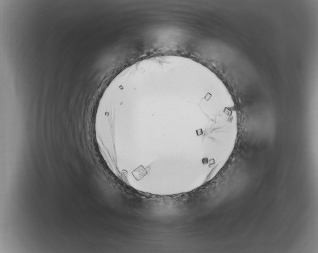 X0000112070769201007221006