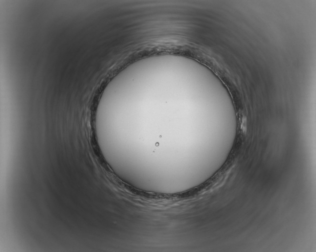 X0000112070771201007221006