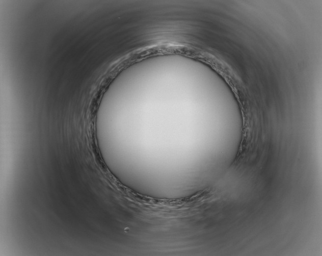 X0000112070773201007221006